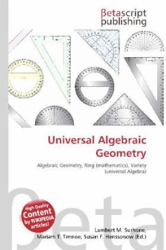 Universal Algebraic Geometry