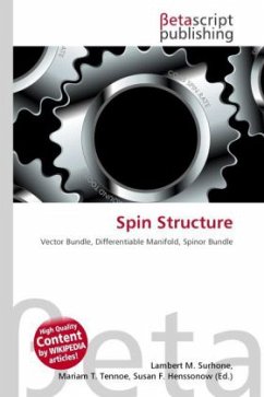 Spin Structure