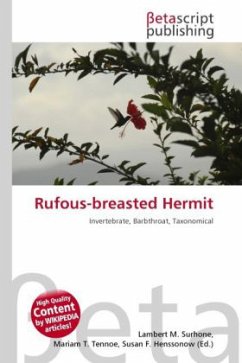 Rufous-breasted Hermit