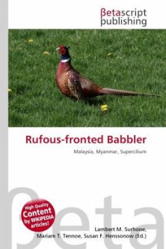 Rufous-fronted Babbler