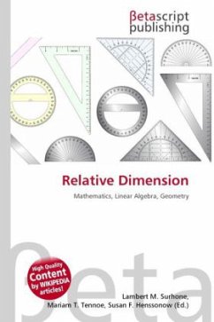 Relative Dimension