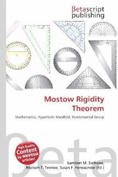 Mostow Rigidity Theorem