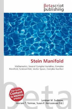 Cover Stein Manifold