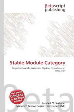 Stable Module Category
