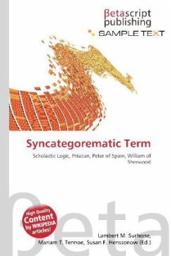 Syncategorematic Term