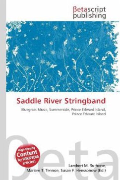 Saddle River Stringband