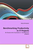 Benchmarking Productivity in IT Projects