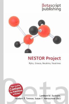 NESTOR Project