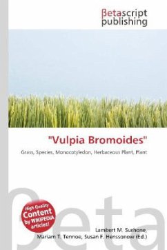 ''Vulpia Bromoides'' ''Vulpia Bromoides''