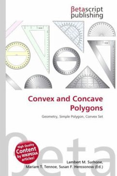 Convex and Concave Polygons