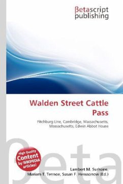 Walden Street Cattle Pass