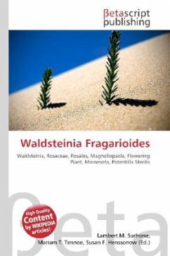 Waldsteinia Fragarioides