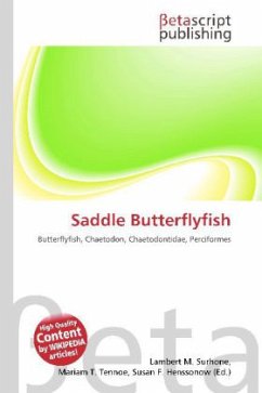 Saddle Butterflyfish Saddle Butterflyfish