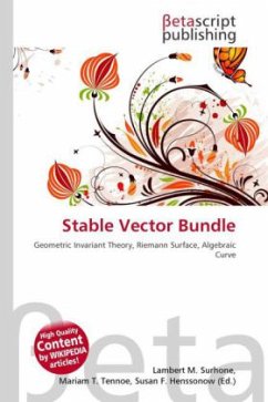 Stable Vector Bundle