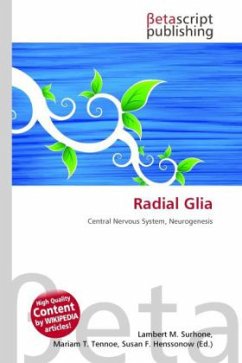 Cover Radial Glia