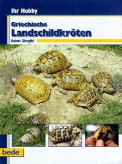 Griechische Landschildkröten - Zirngibl, Rainer