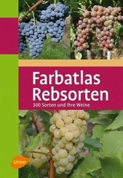Farbatlas Rebsorten - Ambrosi, Hans