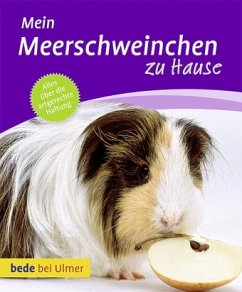 Mein Meerschweinchen zu Hause - Dietz, Petra; Schneider, Eva-Grit