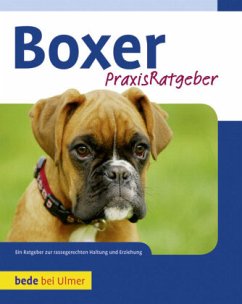 Boxer - Fritz, Manuel