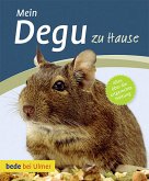 Mein Degu zu Hause