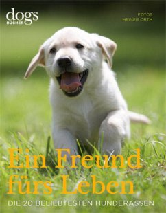 DOGS. Ein Freund fürs Leben - Dorn, Heike;Niederste-Werbeck, Thomas