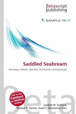 Cover Saddled Seabream