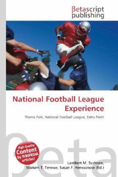 National Football League Experience