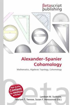 Alexander Spanier Cohomology