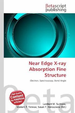 Near Edge X-ray Absorption Fine Structure