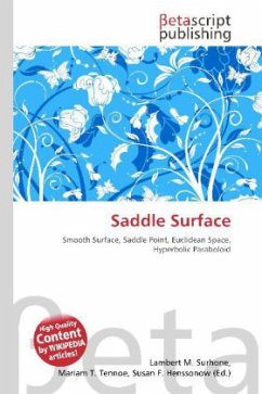 Saddle Surface