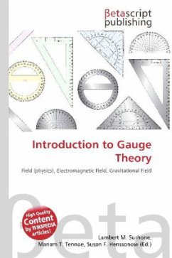 Introduction to Gauge Theory