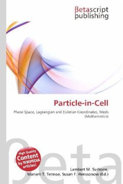 Particle-in-Cell