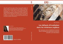 Les défauts d''irradiation dans les minéraux argileux - Morichon, Elisa