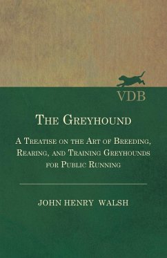 The Greyhound - A Treatise On The Art Of Breeding, Rearing, And Training Greyhounds For Public Running - Their Diseases And Treatment - Stonehenge