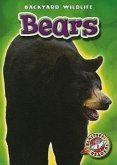 Bears