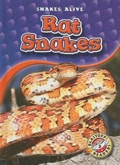 Rat Snakes - Sexton, Colleen