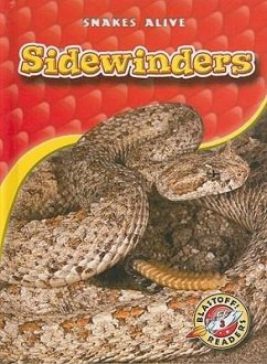 Sidewinders - Sexton, Colleen