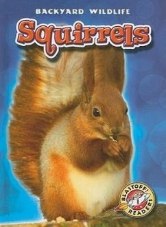 Squirrels - Zobel, Derek