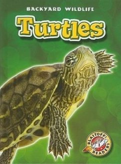 Turtles - Green, Emily