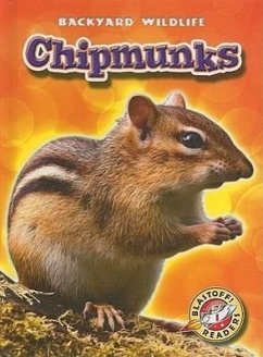 Chipmunks - Zobel, Derek