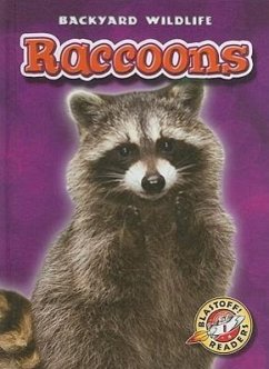 Raccoons - Green, Emily