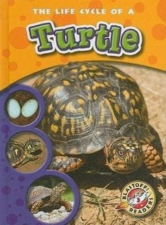 The Life Cycle of a Turtle - Sexton, Colleen