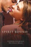 Vampire Academy - Spirit Bound\Vampire Academy - Seelenruf, englische Ausgabe Vampire Academy - Spirit Bound\Vampire Academy - Seelenruf, englische Ausgabe