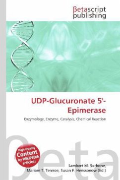 UDP-Glucuronate 5'-Epimerase