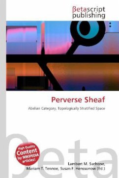 Perverse Sheaf