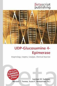 UDP-Glucosamine 4-Epimerase