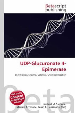 UDP-Glucuronate 4-Epimerase