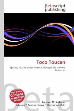 Toco Toucan