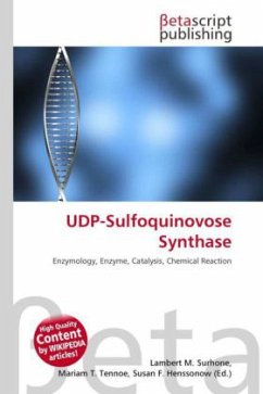 UDP-Sulfoquinovose Synthase
