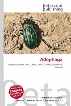 Adephaga